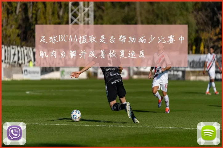 足球BCAA摄取是否帮助减少比赛中肌肉分解并改善恢复速度