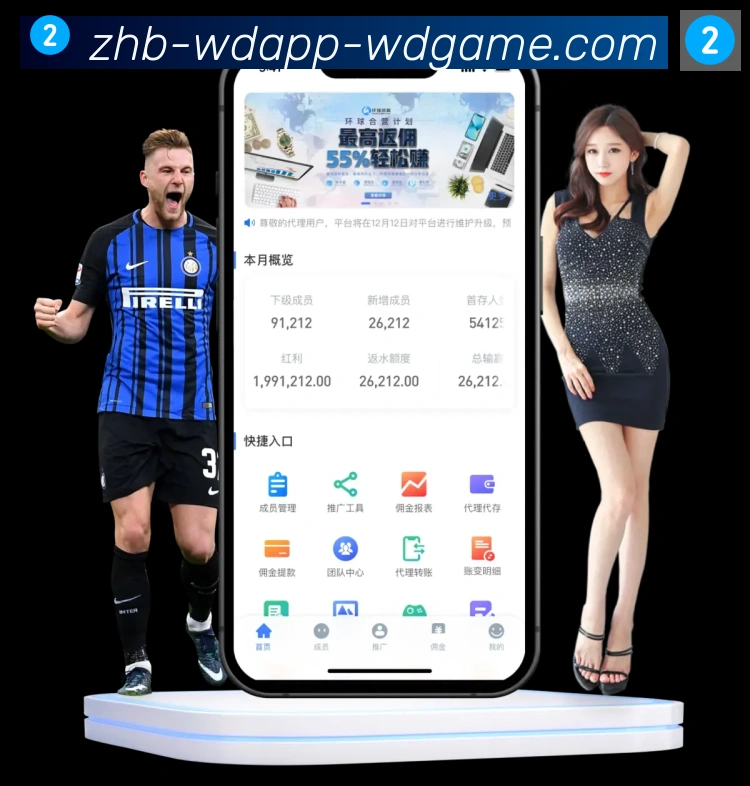 未来规划