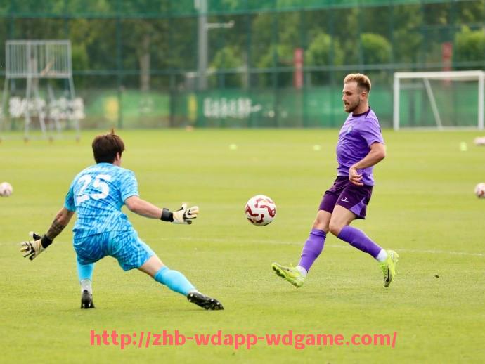 问鼎娱乐官网-2025年世俱杯比赛球衣剪裁细节全面解析与应用