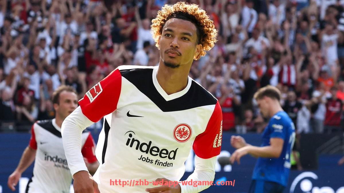 问鼎娱乐官网-德甲球队称号大全及图片汇总（含外号与绰号）